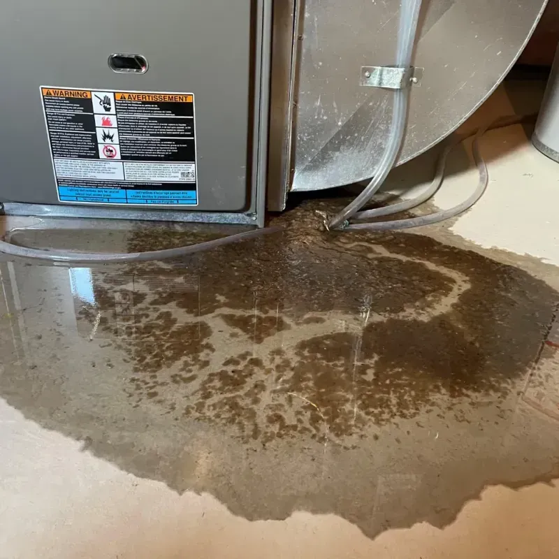 Appliance Leak Cleanup in New Columbia, PA